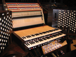 access for organ maintenance
