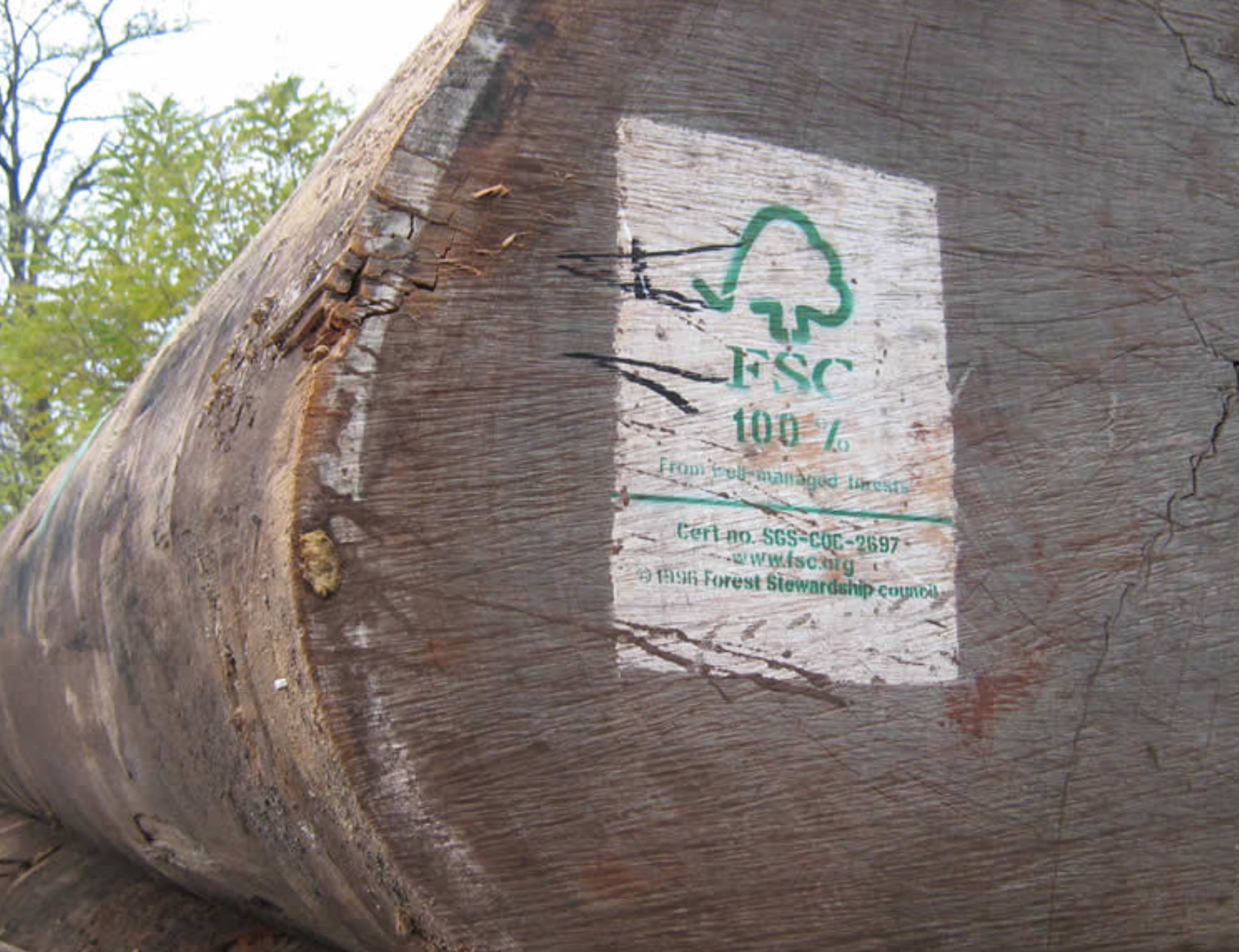Sipo mahogany certified for sustainability by the FSC