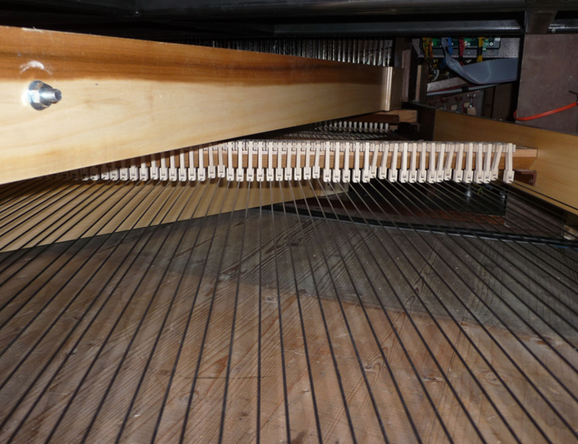 carbon fiber tracker runs