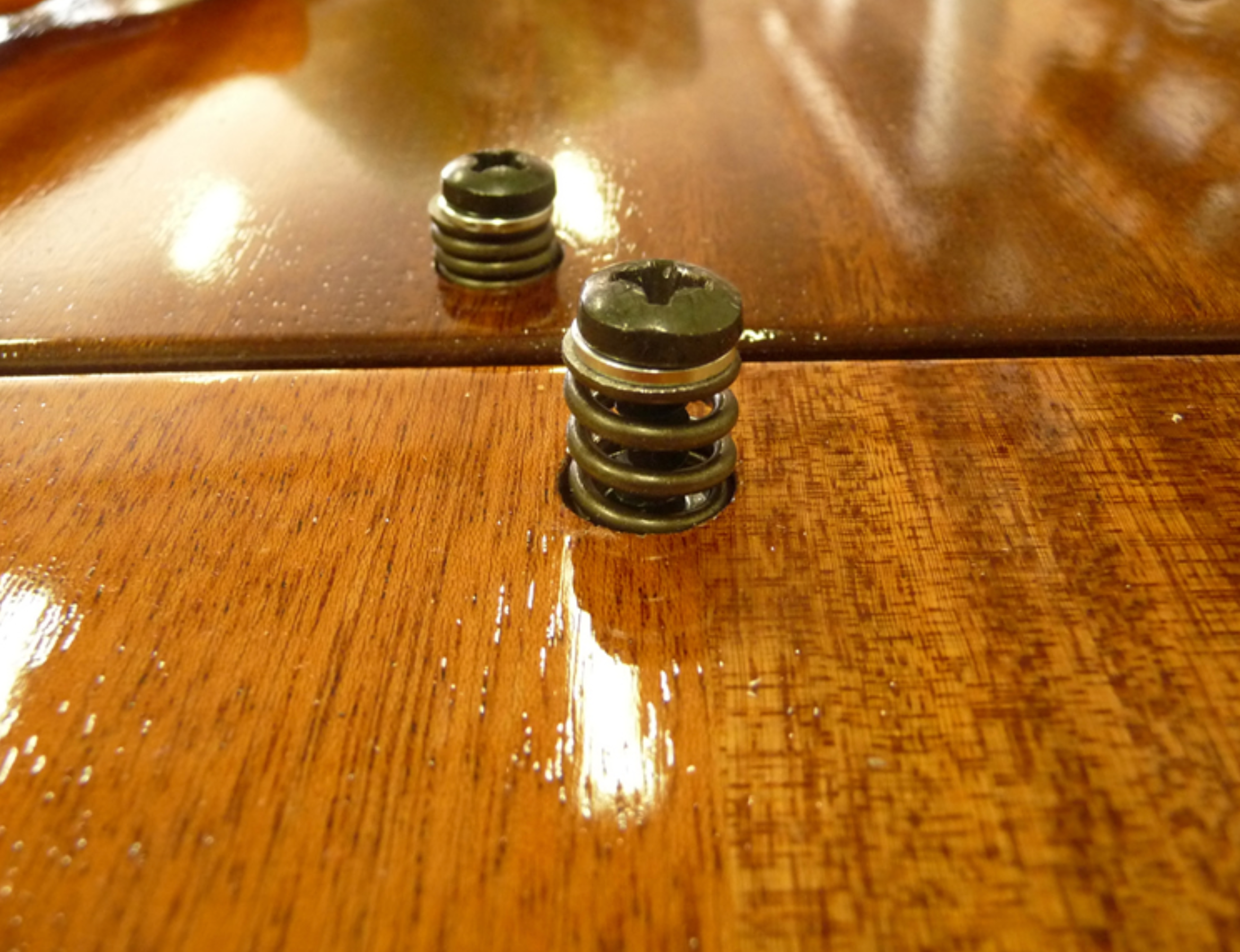 Ruffatti windchest bottom board screw with a steel spring