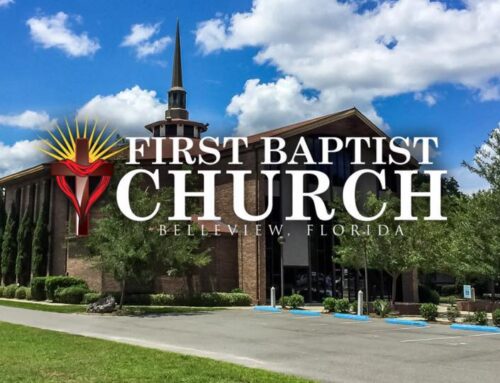 5-Star Review: Our Beautiful Organ